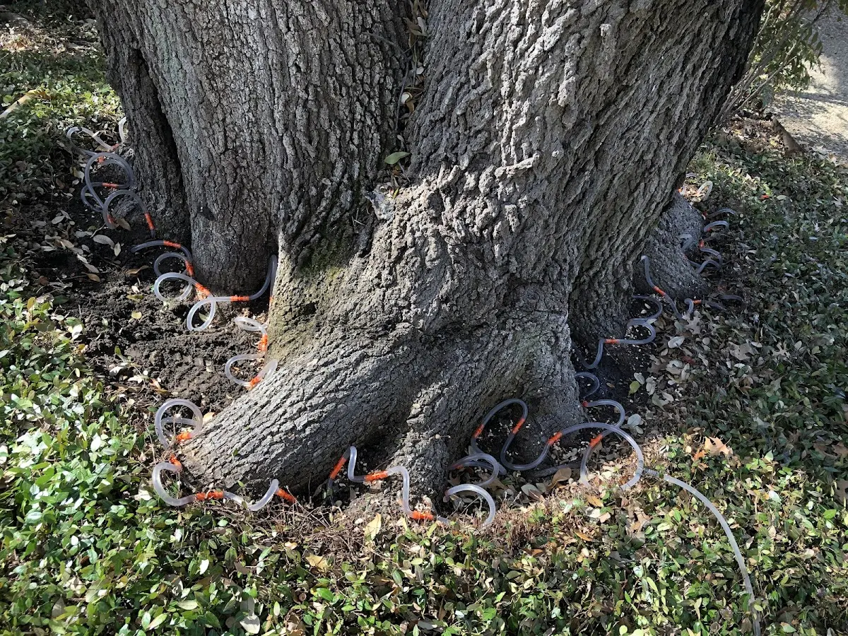 Detailed Shrub and Hedge Trimming job site in Fort Cobb